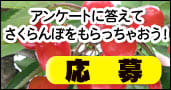 �������ܺ�ƣ�ӥ��󥱡���