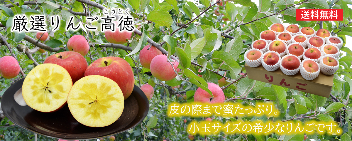 山形の食用菊もってのほか1kg（品種おまかせ）