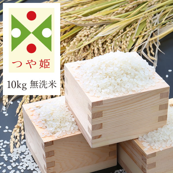 【定期購入】うまいず米／山形県産つや姫10kg無洗米(5kg×2袋)