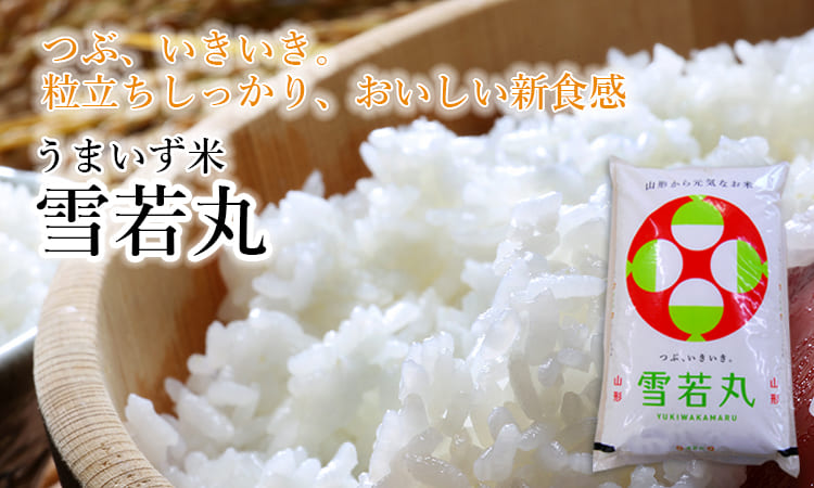 www.lacene.fr - ✨雪若丸✨5kg✨令和5年産✨山形県庄内産✨ 価格比較