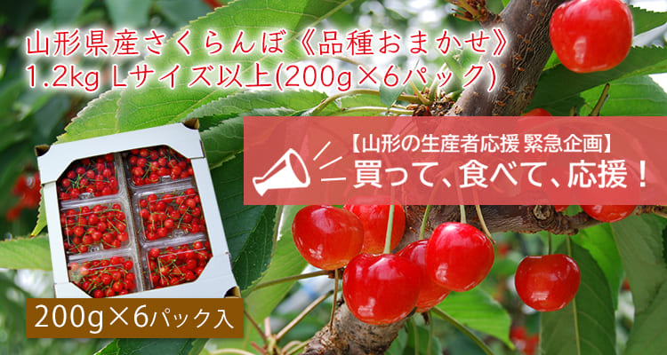 送料無料 山形県ふっこう 復袋 山形県産さくらんぼ 品種おまかせ 1 2kgバラ詰lサイズ以上 0g 6パック