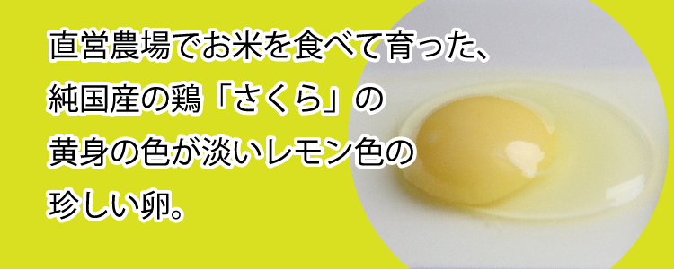 鶏卵 いではのさくら白 25個入 サイズミックス