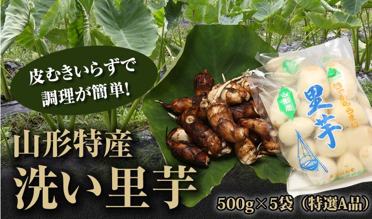 山形特産洗い里芋 特選a品500g 5袋