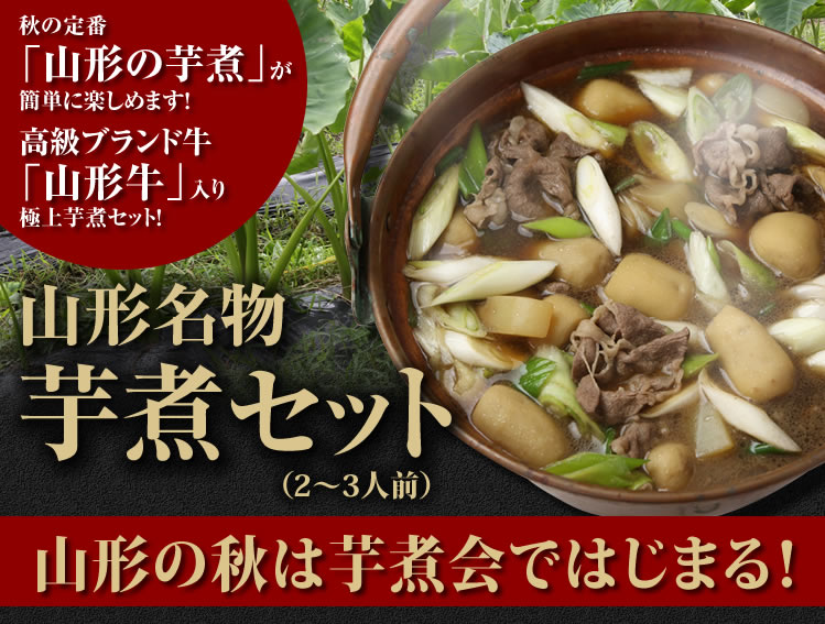 465円 【ネット限定】 特産品 山形の芋煮 庄内版 2袋セット 味噌味