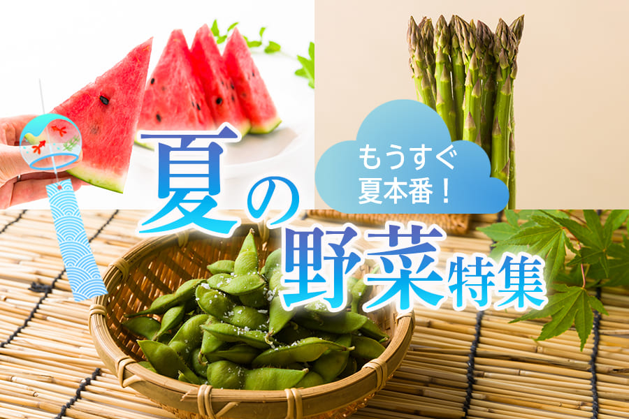 夏の野菜特集